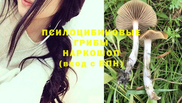 дмт Аркадак