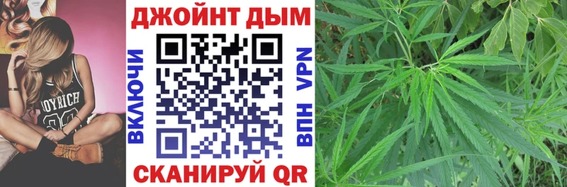 Бошки Шишки ГИДРОПОН  Ленинск 